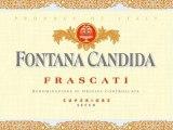 Fontana Candida - Frascati Superiore 0 (750ml)