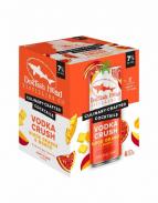 Dogfish Head Blood Orange & Mango 4pk 0 (44)