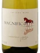 Magnifico - Chardonnay (750)