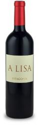 Bodega Noema de Patagonia - Malbec Rio Negro A Lisa 0 (750ml)