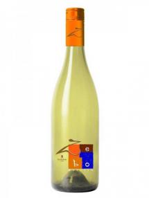 Cantine Pellegrino - Zebo Moscato (750ml) (750ml)